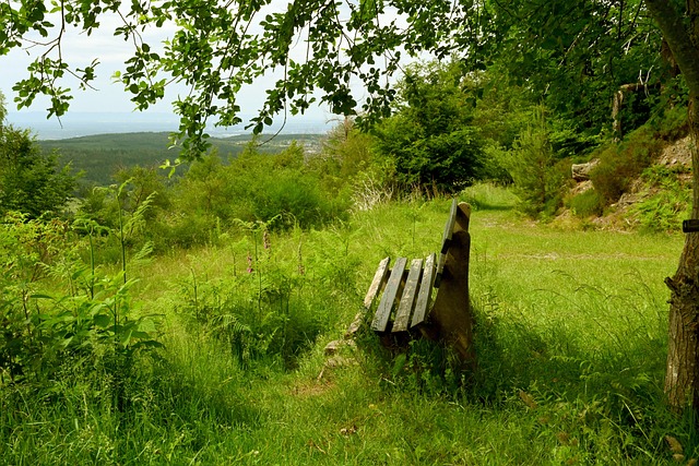 既有有利于 既有有利于