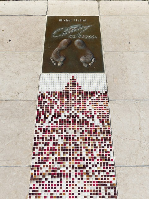 选手需要具 选手需要具