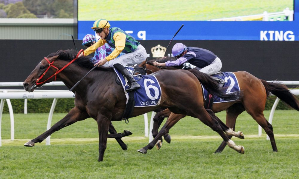 依然存在 依然存在