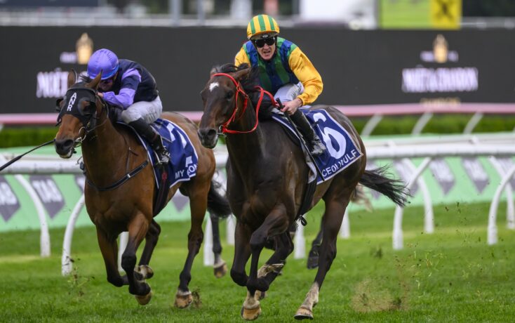 此次交流的 此次交流的