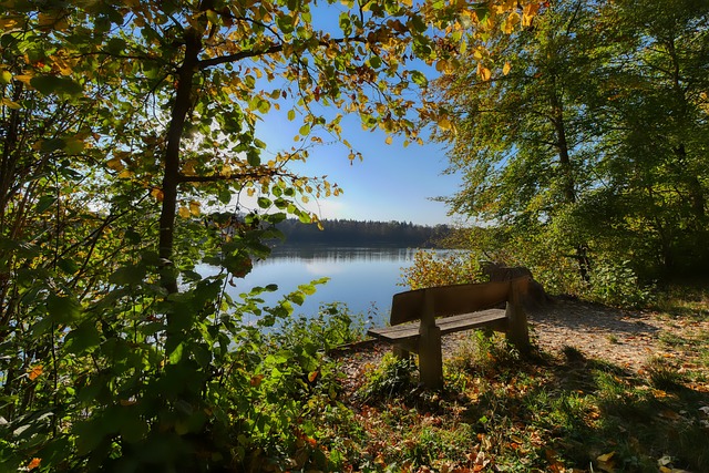 通过加强团 通过加强团