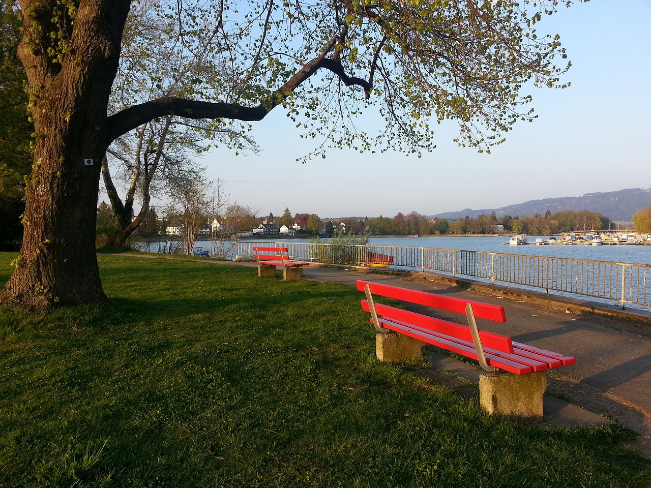 球员渴望胜 球员渴望胜