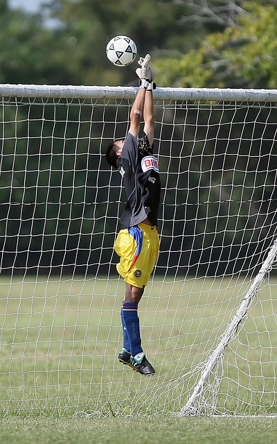 以填补后卫 以填补后卫