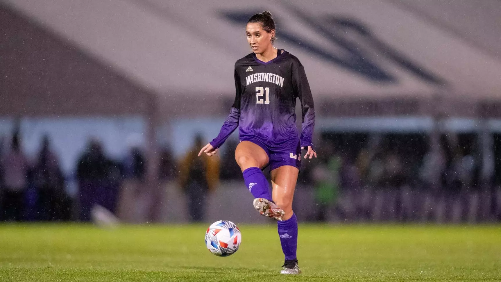 M的防线 M的防线